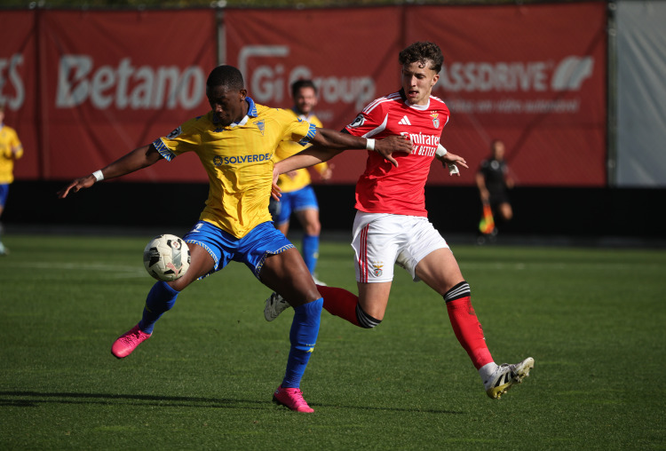 Crónica: Fatídico destino dos jovens canarinhos