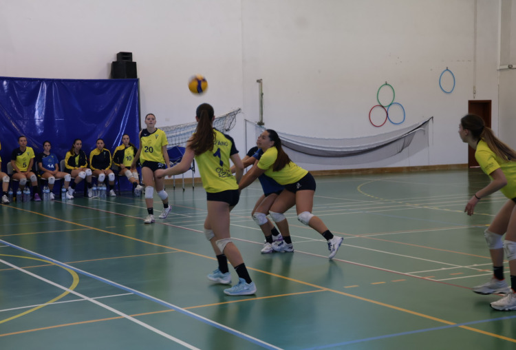 Juniores de voleibol com receção ao último classificado