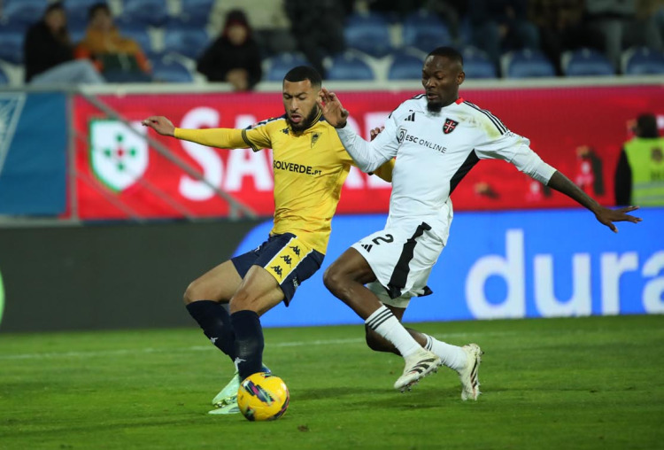 Gansos voam mais alto na Amoreira