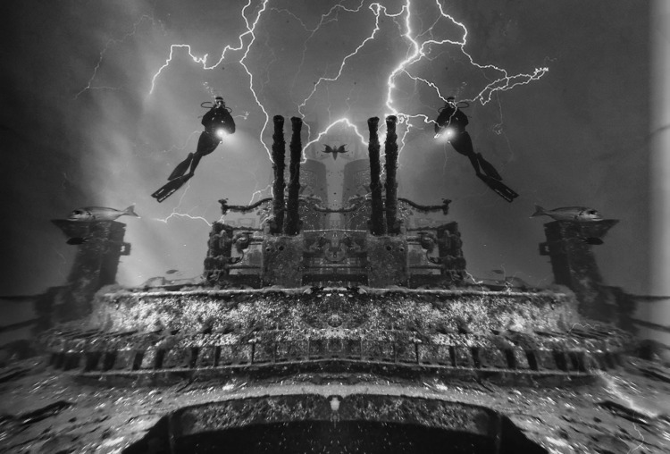 Fotografia subaquática alcança várias medalhas na Madeira