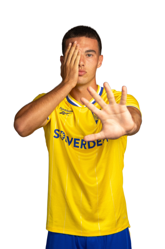 Afonso Vieira