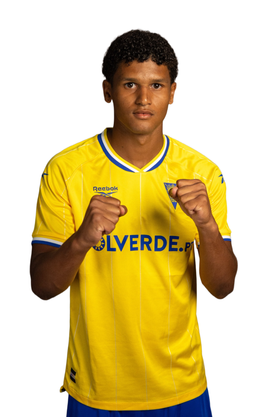 Pedro Andrade